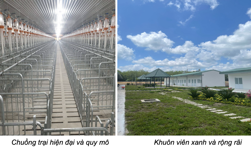 Anh man hinh 2024 07 25 luc 20.35.32
