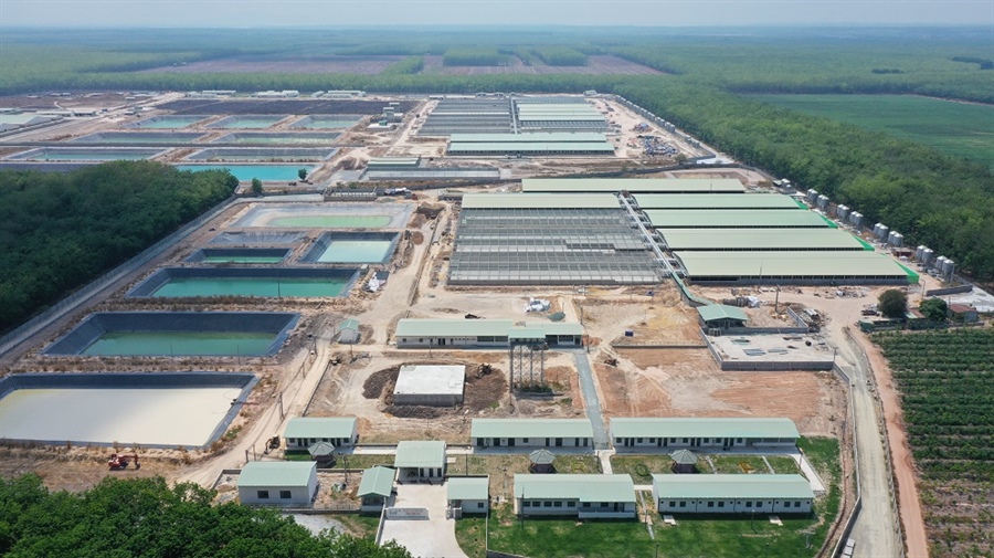 BAF khanh thanh 2 944817 Large