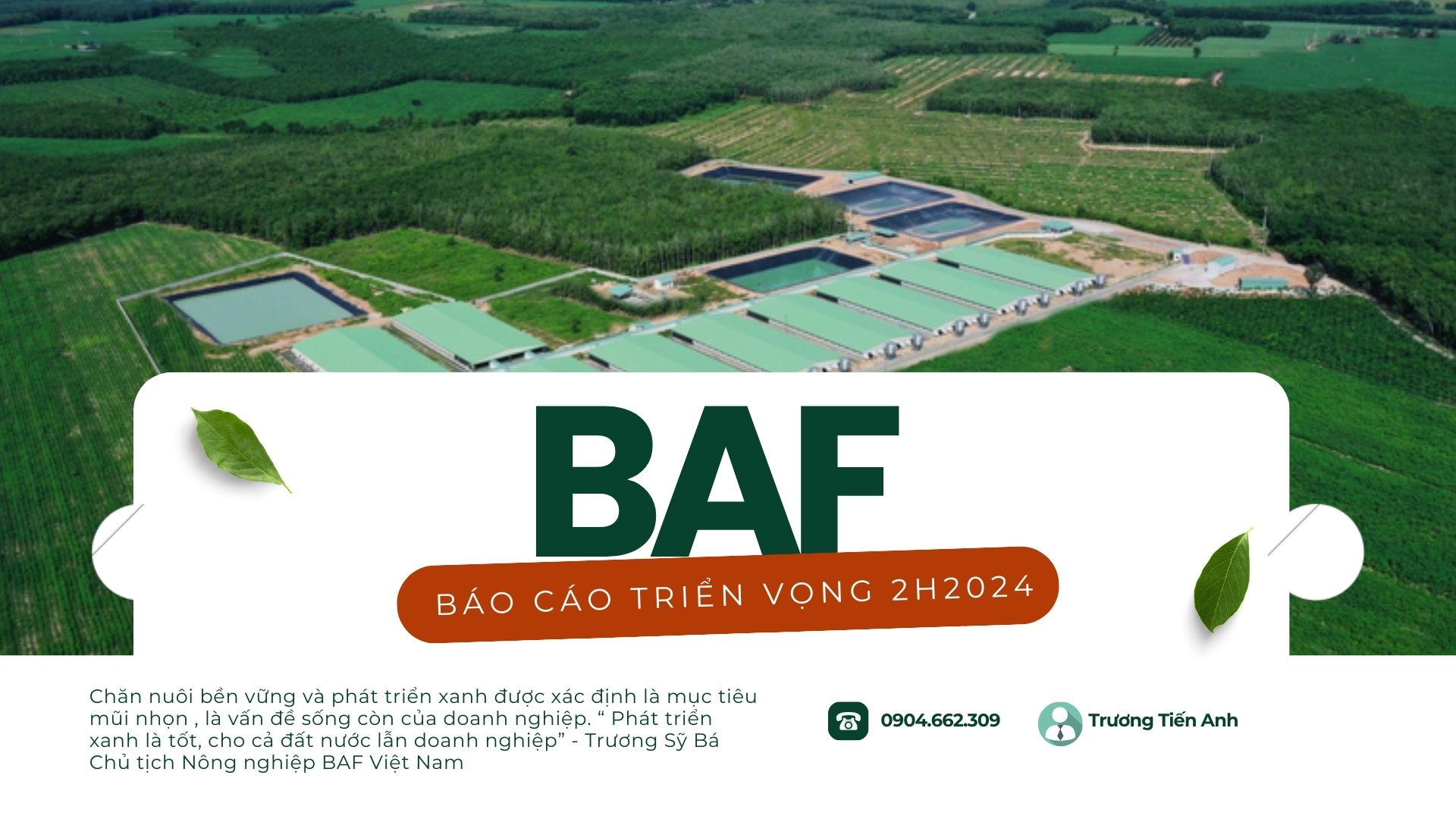 Bao cao trien vong 2H2024