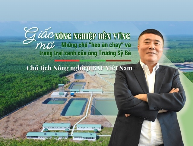 BAF VAV 1537278